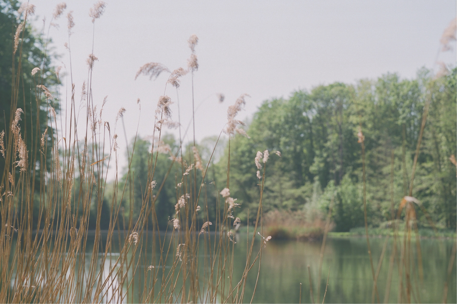 raoul-croes-CXK5ST1TbzM-unsplash 1 raoul-croes-CXK5ST1TbzM-unsplash 1